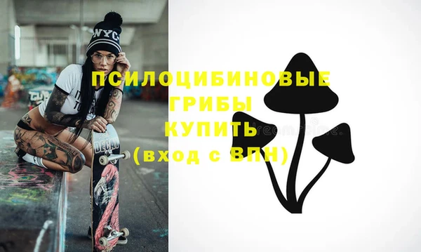 гидра Белоозёрский