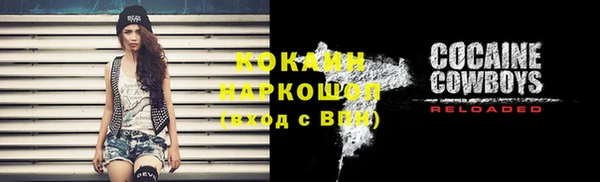 гидра Белоозёрский