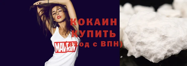 гидра Белоозёрский