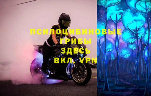 мдма Белокуриха