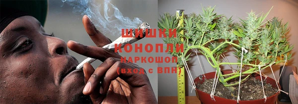 ПСИЛОЦИБИНОВЫЕ ГРИБЫ Беломорск