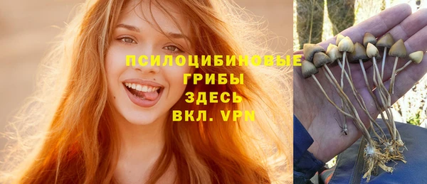ПСИЛОЦИБИНОВЫЕ ГРИБЫ Беломорск