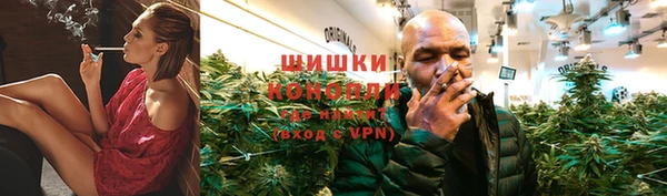 гидра Белоозёрский